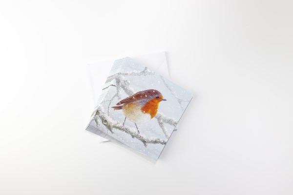 Christmas Cards - Robin