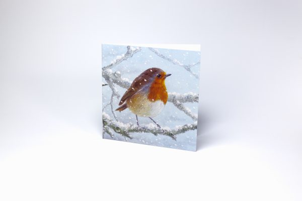 Christmas Cards - Robin