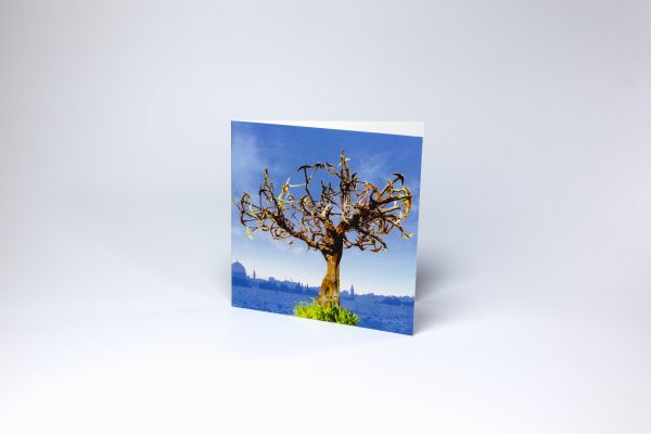 Blank Cards: Swift of Hope Fly for St John